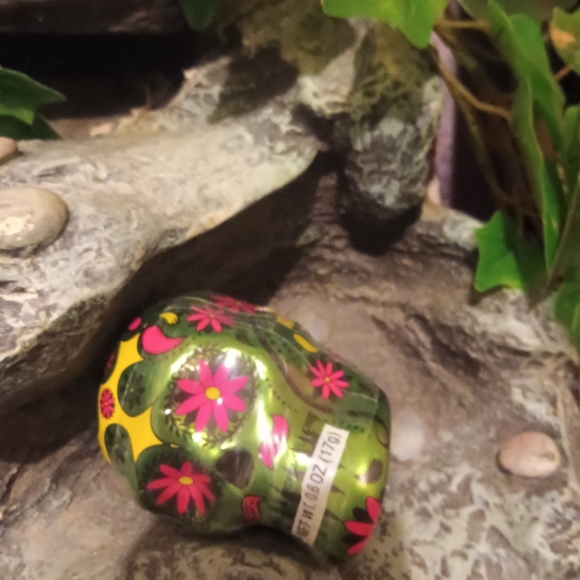 Skull candy - Picture 2 of 5